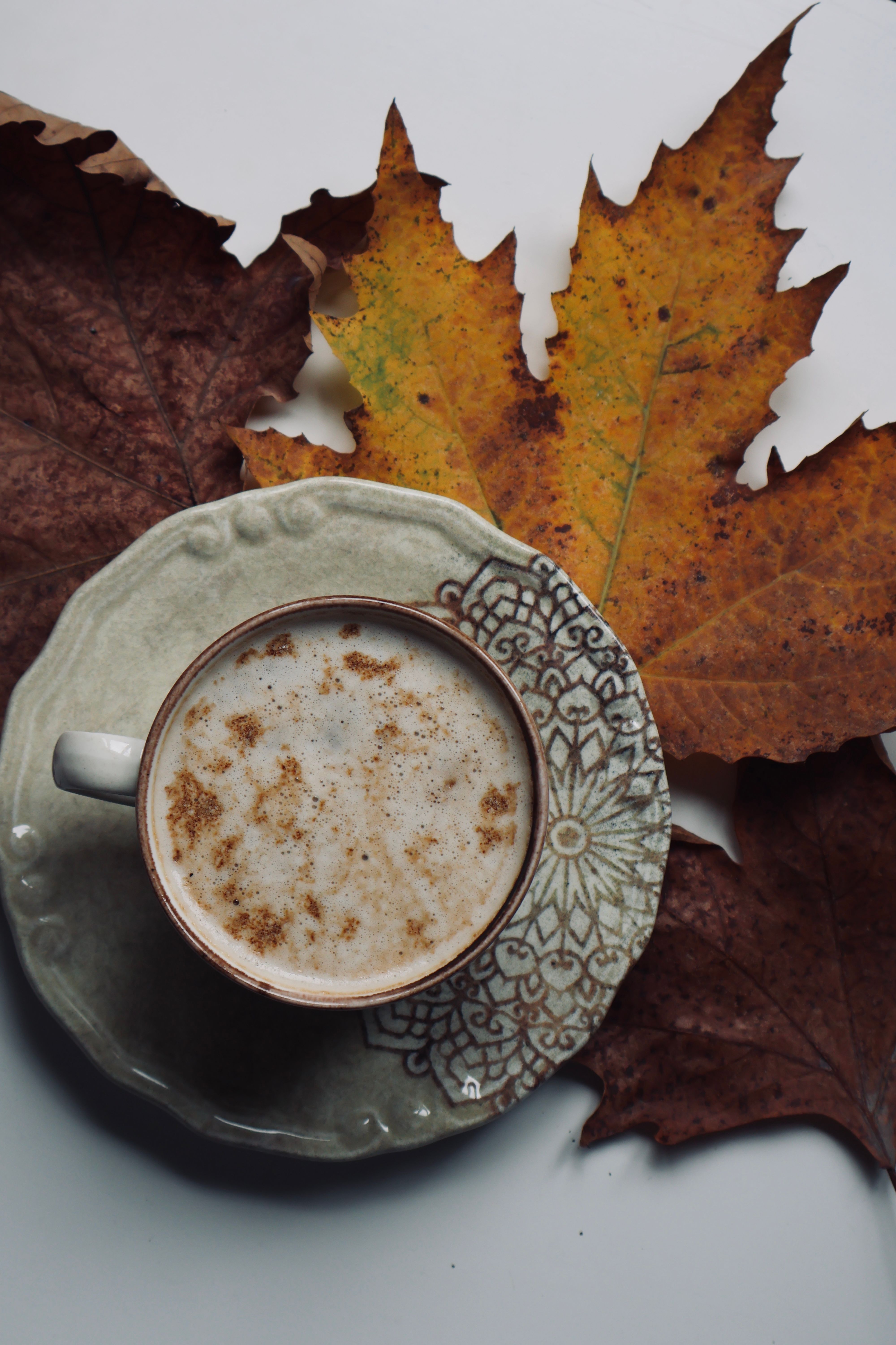 Spiced Tea Hot